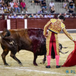 Foto Plaza 1